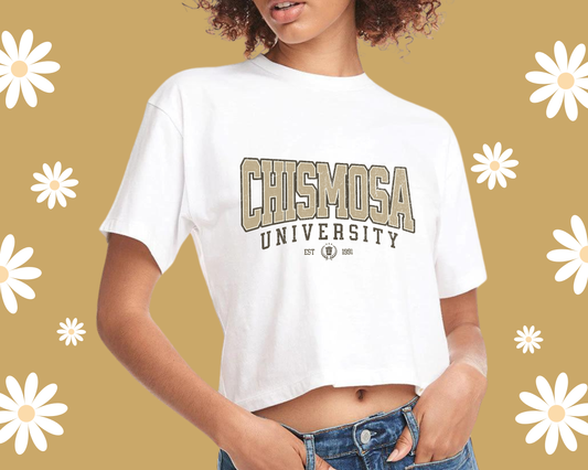 CHISMOSA UNIVERSITY - Customizable